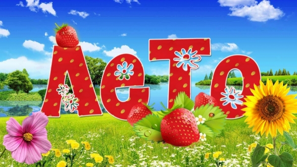 Наше лето 2019