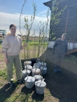 В микрорайоне Зайково высадят аллею Славы