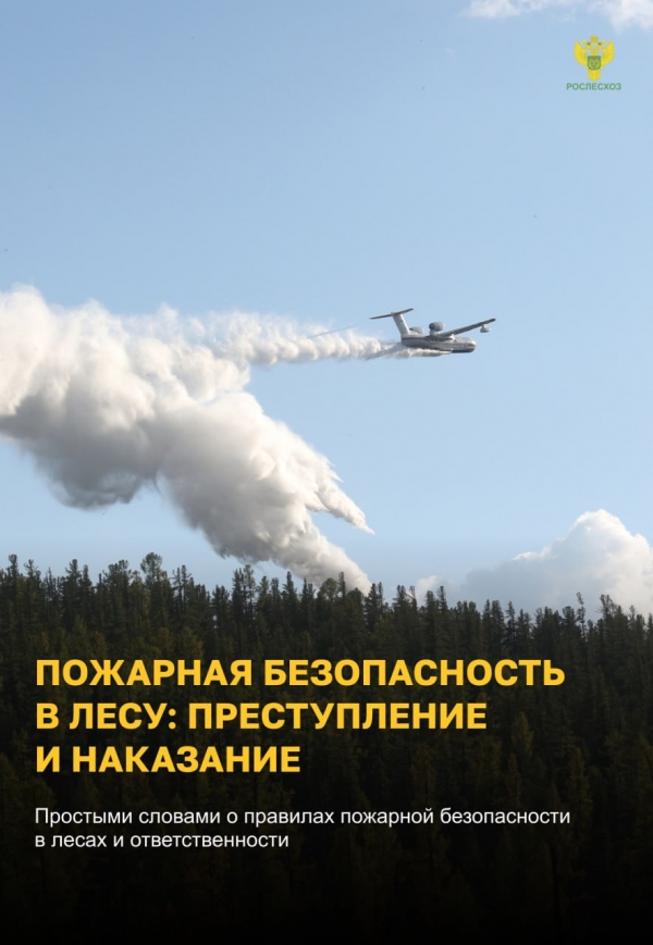 Департамент гражданской защиты, охраны окружающей среды и природных ресурсов Курганской области перед началом и в течение пожароопасного сезона 2024 года проводит информационную противопожарную кампанию «Останови огонь!»
