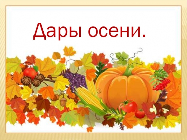 Выставка "Дары осени"